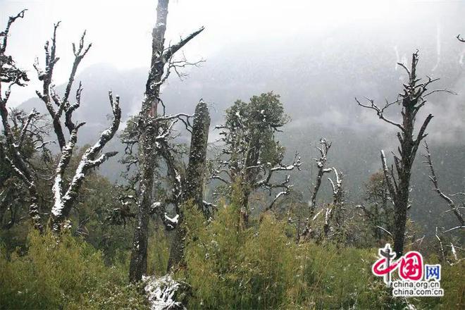 应成为特种旅游的宝藏之地开元棋牌专家观点｜怒江(图2)
