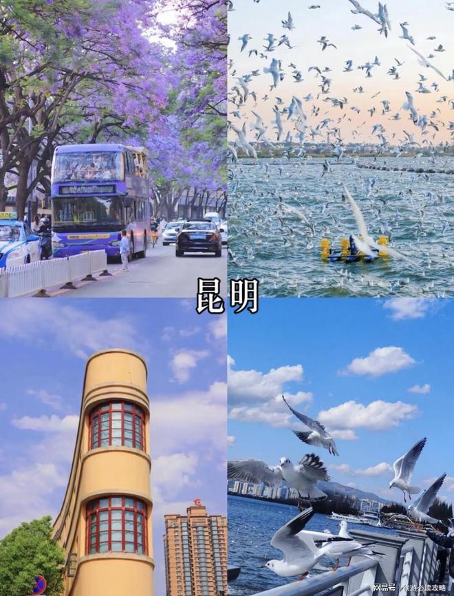 定制导游推荐云南不进购物店报团通道开元棋牌app云南旅游攻略大全私人