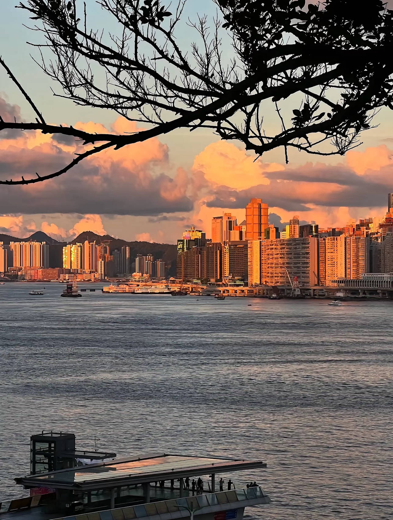 港澳当地跟团五日游游玩路线+景点攻略介绍ky开元棋牌港澳购物天堂5日游：超详细(图2)